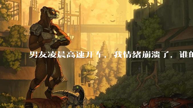 男友凌晨高速开车，我情绪崩溃了，谁的错?