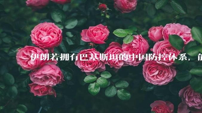 伊朗若拥有巴基斯坦的中国防控体系，能否把美国的B2轰炸机打下来？如果打下会对世界局势产生什么影响？