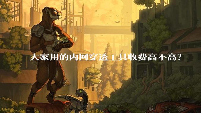 大家用的内网穿透工具收费高不高？