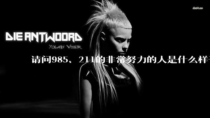 请问985、211的非常努力的人是什么样子的？
