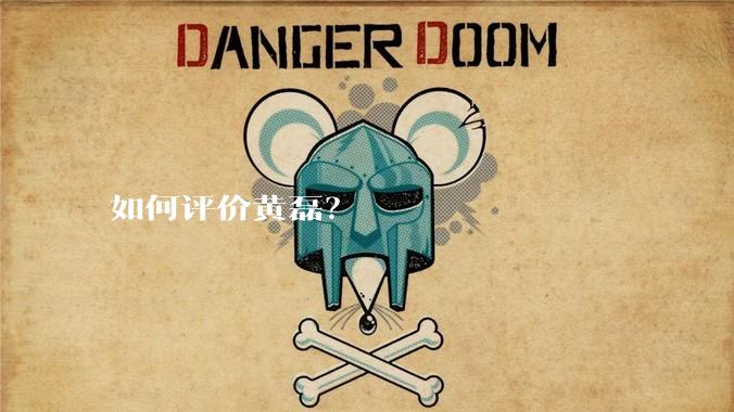 如何评价黄磊？