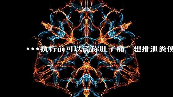 ***执行前可以谎称肚子痛，想排泄粪便，籍此拖延时间吗？