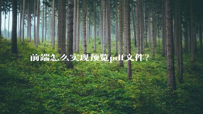前端怎么实现预览pdf文件？