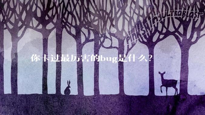 你卡过最厉害的bug是什么？