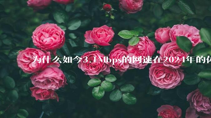 为什么如今3.1Mbps的网速在2024年的体验那么差？