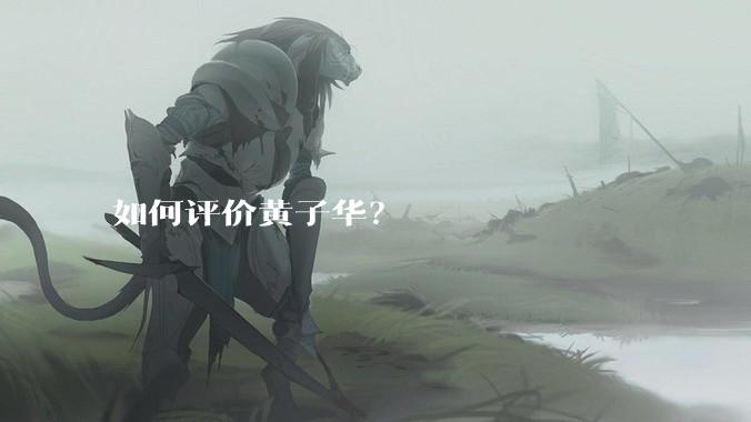 如何评价黄子华？