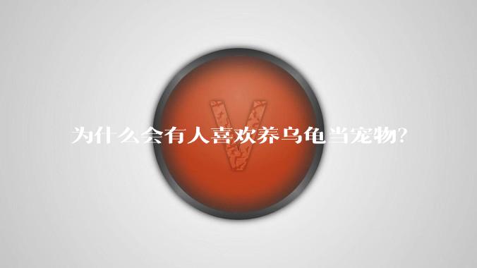 为什么会有人喜欢养乌龟当宠物？