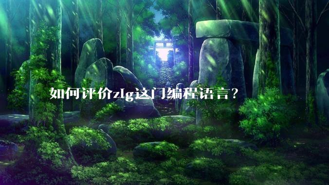 如何评价zig这门编程语言？