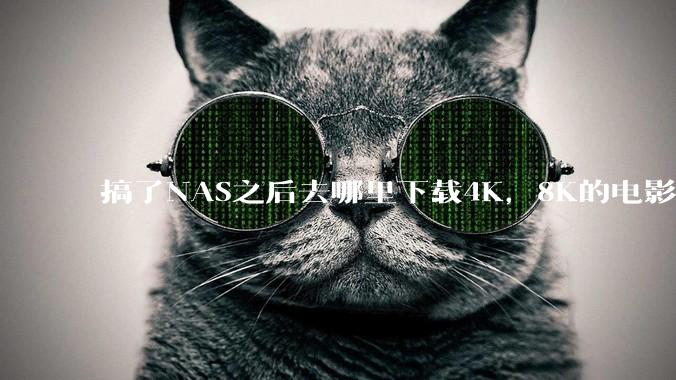 搞了NAS之后去哪里下载4K，8K的电影？
