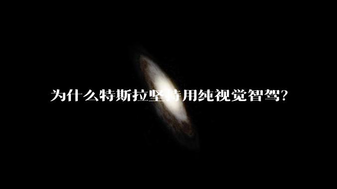 为什么特斯拉坚持用纯视觉智驾？