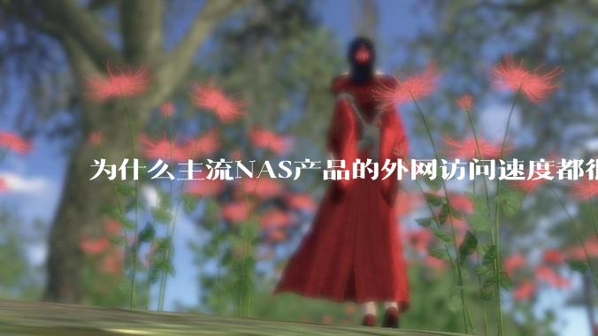 为什么主流NAS产品的外网访问速度都很慢？