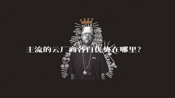 主流的云厂商各自优势在哪里？