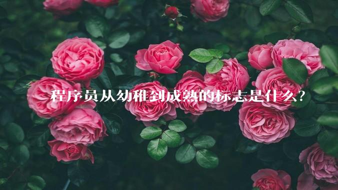 程序员从幼稚到成熟的标志是什么？