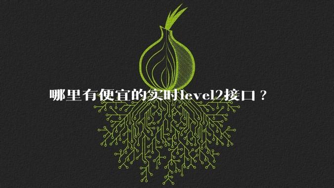 哪里有便宜的实时level2接口?