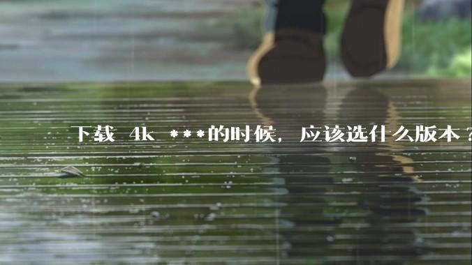 下载 4k ***的时候，应该选什么版本?