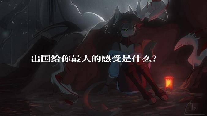 出国给你最大的感受是什么？