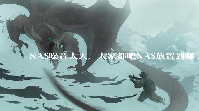 NAS噪音太大，大家都吧NAS放置到哪了？