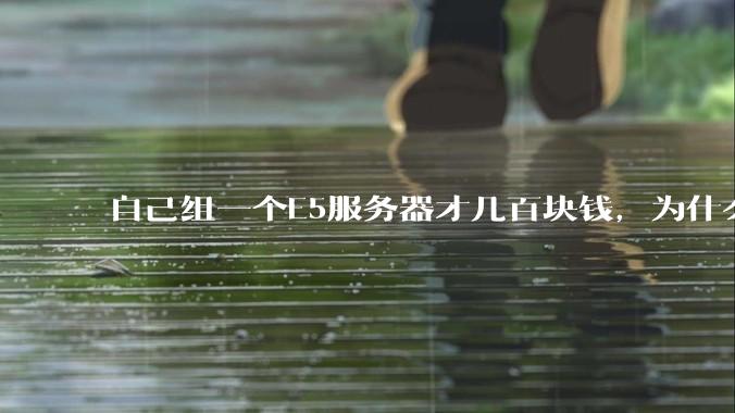 自己组一个E5服务器才几百块钱，为什么去阿里云租这么贵?