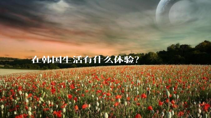 在韩国生活有什么体验？
