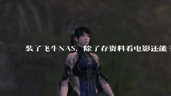 装了飞牛NAS，除了存资料看电影还能干什么？