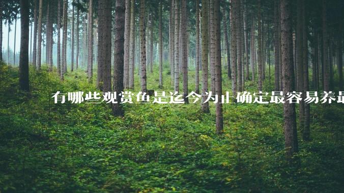 有哪些观赏鱼是迄今为止确定最容易养最不容易死的？