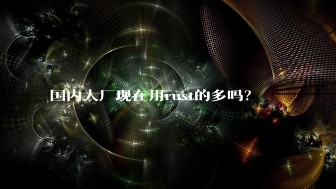 国内大厂现在用rust的多吗？