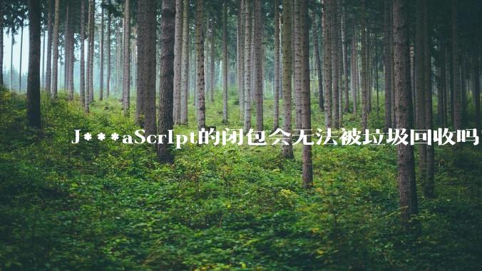 J***aScript的闭包会无法被垃圾回收吗？