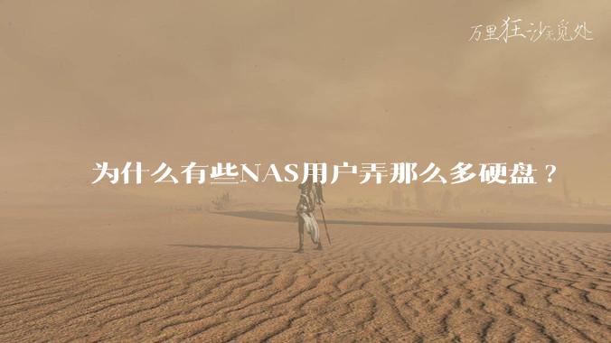 为什么有些NAS用户弄那么多硬盘?