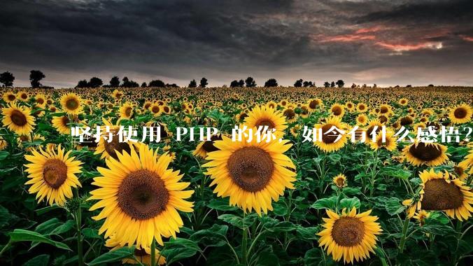 坚持使用 PHP 的你，如今有什么感悟？
