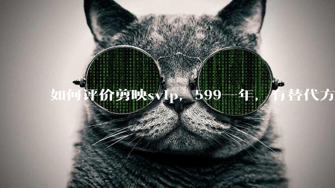 如何评价剪映svip，599一年，有替代方案吗？