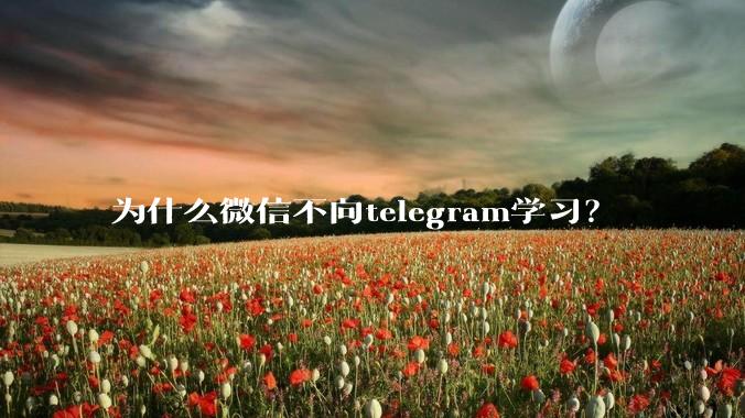 为什么微信不向telegram学习？