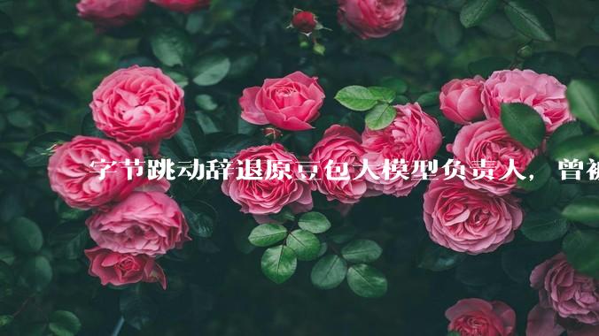 字节跳动辞退原豆包大模型负责人，曾被曝婚内出轨下属，怎样看待这一处理结果？