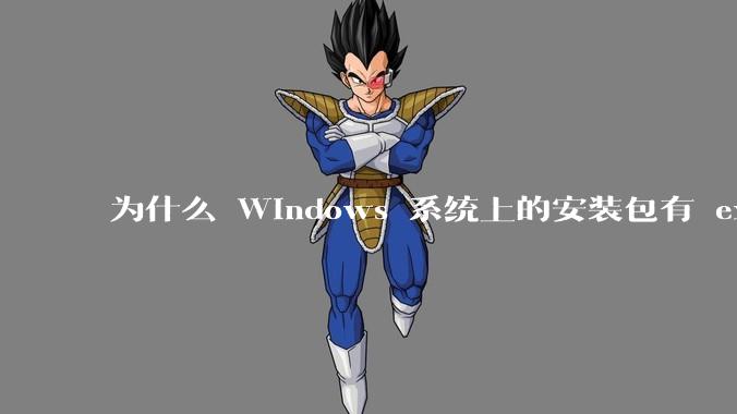为什么 Windows 系统上的安装包有 exe 和 msi 两种格式，有什么区别？