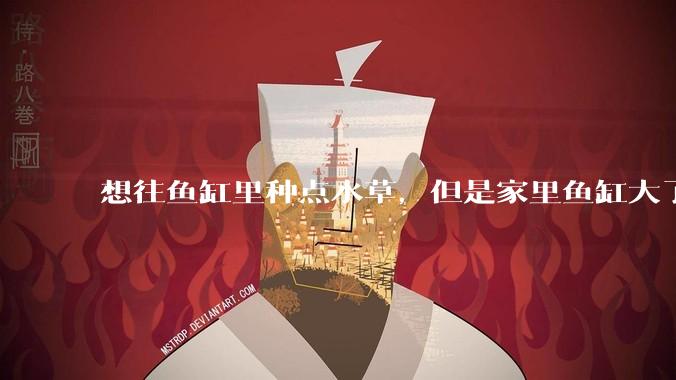 想往鱼缸里种点水草，但是家里鱼缸大了买水草泥或者底砂太贵了，有没有生活中可以替代的物品或其他建议？