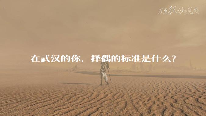 在武汉的你，择偶的标准是什么？