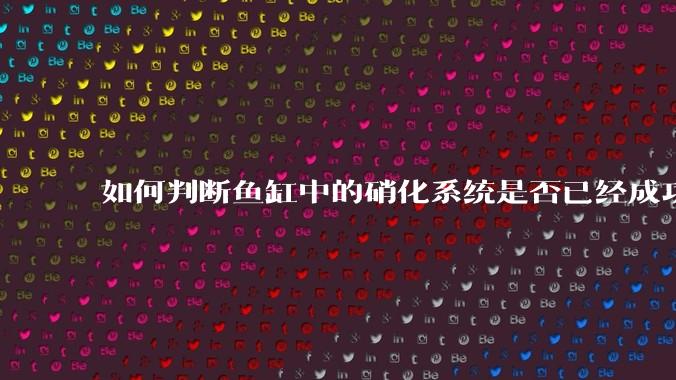 如何判断鱼缸中的硝化系统是否已经成功建立？