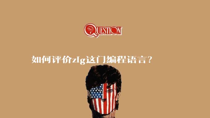 如何评价zig这门编程语言？