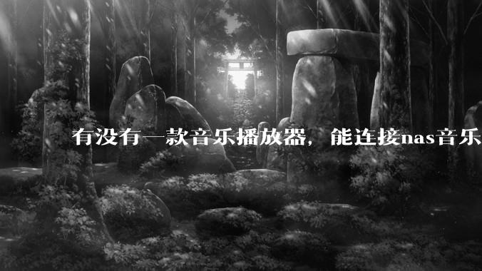有没有一款音乐播放器，能连接nas音乐，创建音乐库，自动匹配歌词封面等等？类似infuse的概念呢？