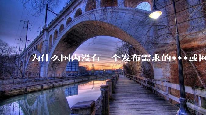 为什么国内没有一个发布需求的***或网站呢？