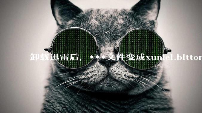 卸载迅雷后，***文件变成xunlei.bittorrent.6,怎么还原回去啊，心态炸了！?