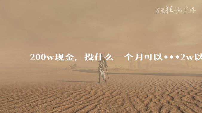 200w现金，投什么一个月可以***2w以上？