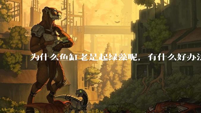 为什么鱼缸老是起绿藻呢，有什么好办法不用整天擦鱼缸？