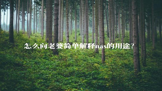 怎么向老婆简单解释nas的用途？
