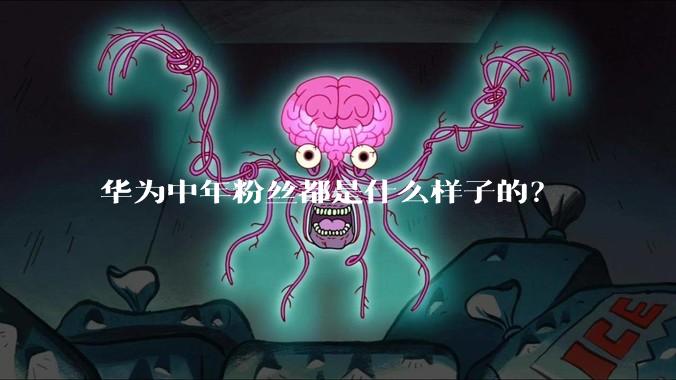 华为中年粉丝都是什么样子的？