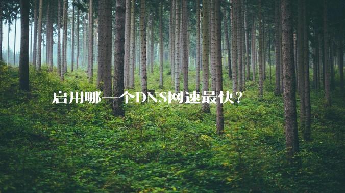 启用哪一个DNS网速最快？