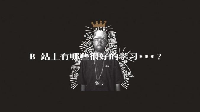 B 站上有哪些很好的学习***?