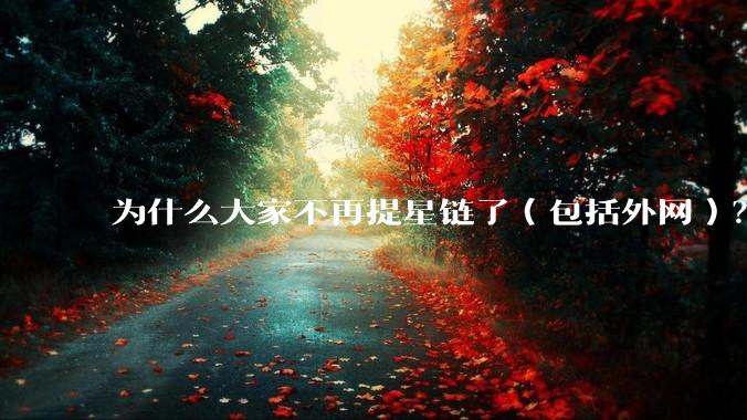 为什么大家不再提星链了（包括外网）？