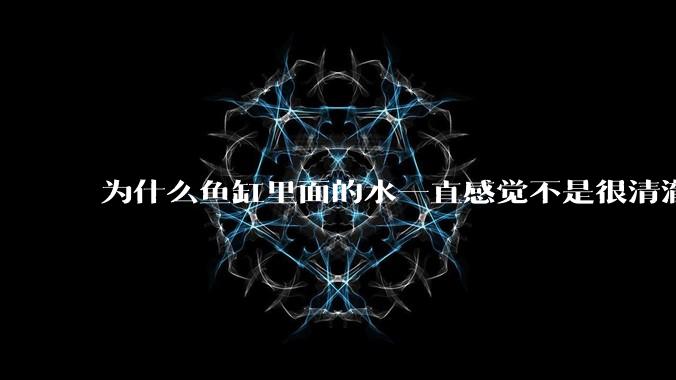 为什么鱼缸里面的水一直感觉不是很清澈呢？