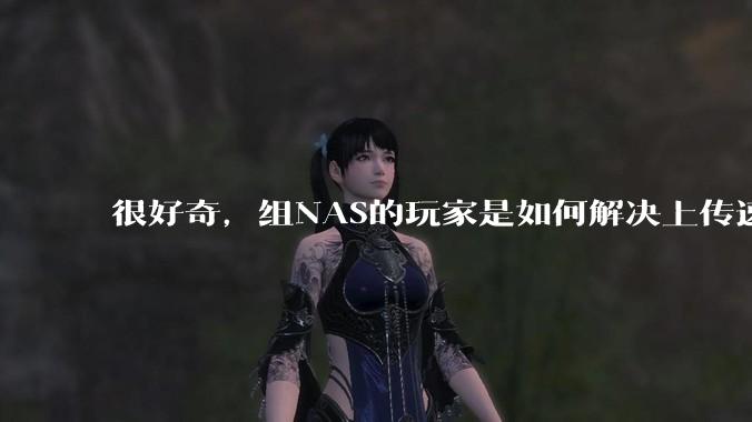 很好奇，组NAS的玩家是如何解决上传速率的问题?