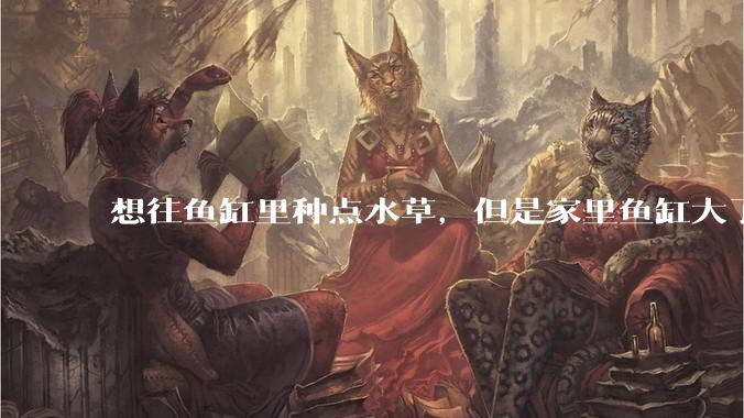 想往鱼缸里种点水草，但是家里鱼缸大了买水草泥或者底砂太贵了，有没有生活中可以替代的物品或其他建议？